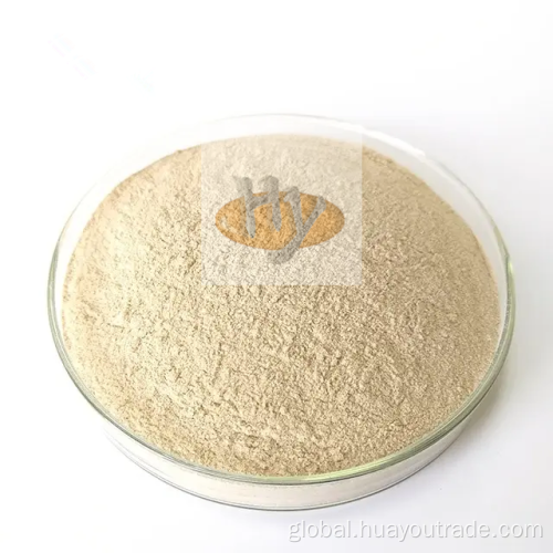 Animal Feed Protein Powder probotics soluble water 1000CFU/G for animal feed additive Factory